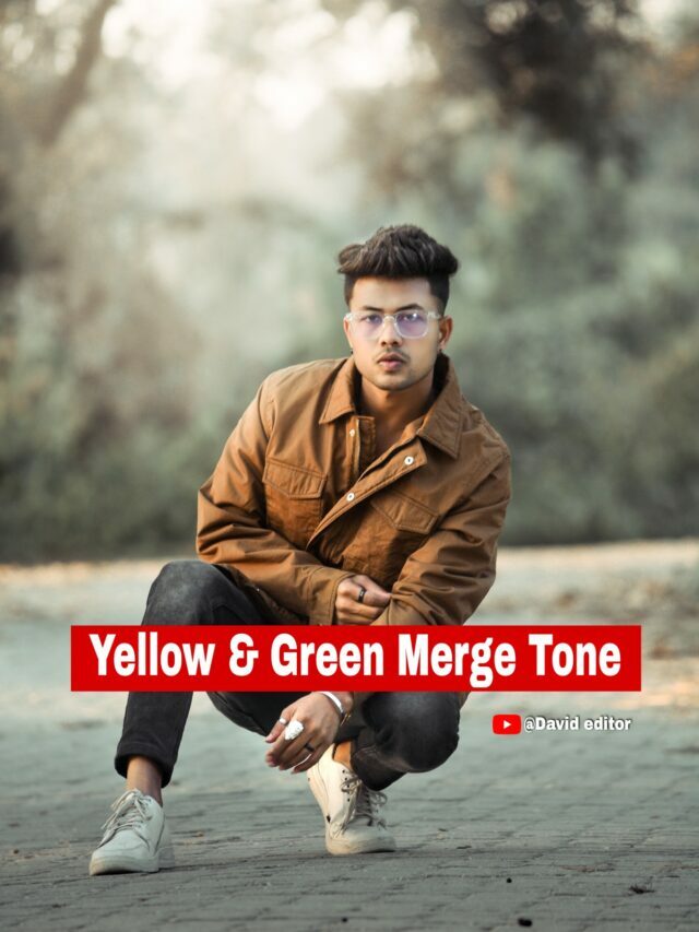 Yellow and Green merge tone Lightroom presets free Download